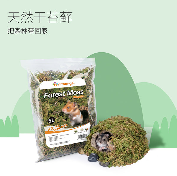 Niteangel Forest Moss 5L