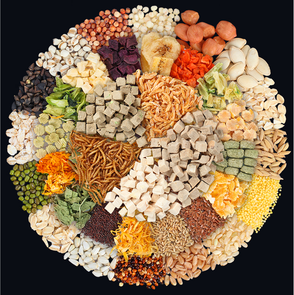 Hamster mix clearance