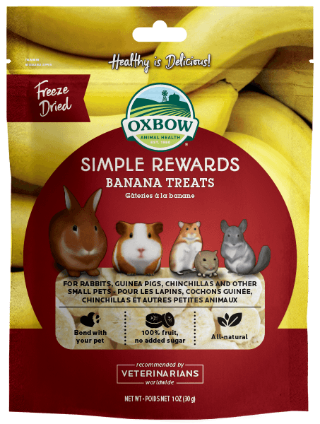 Simple Rewards - Banana Treat