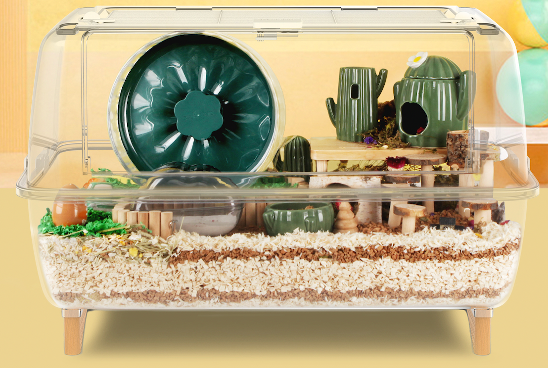 Bucatstate 70cm Acrylic Cage – Pet Fables