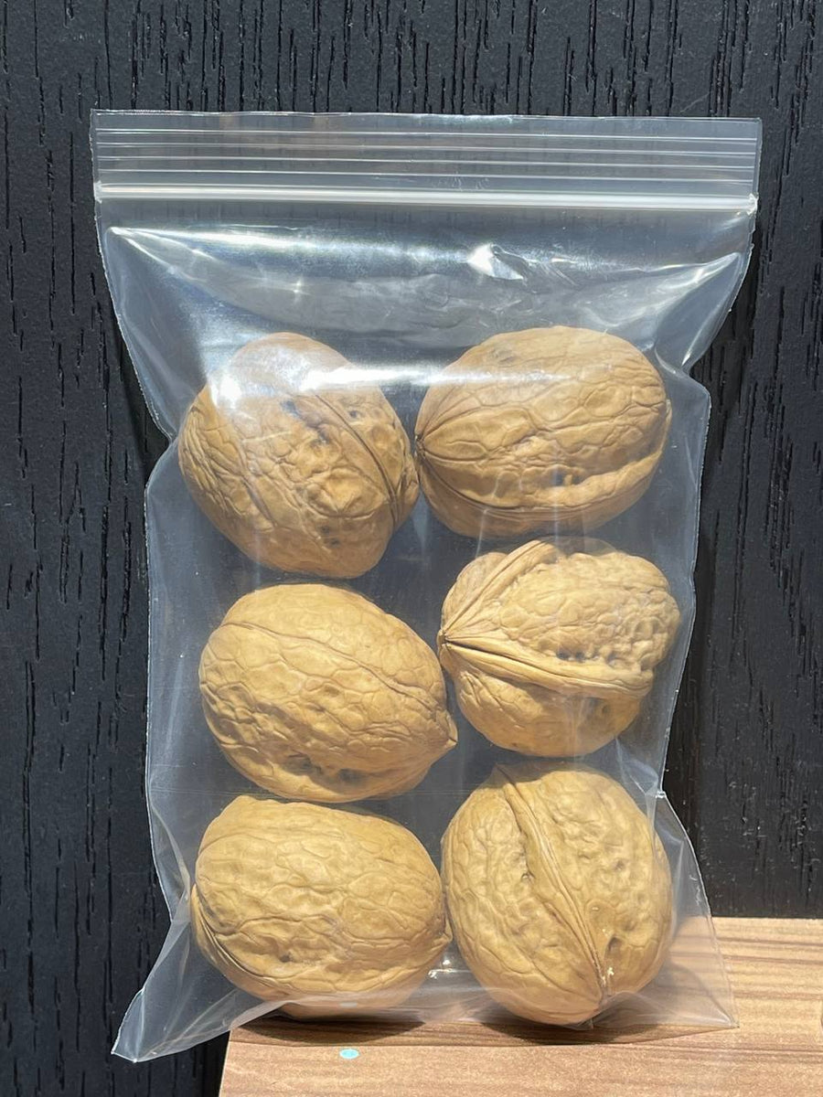 Soft Shell Fresh Walnuts 70g – Pet Fables